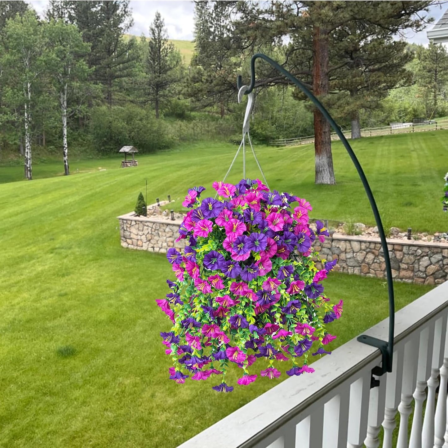 🌺LAST DAY 49% OFF🌺Hanging Morning Glory