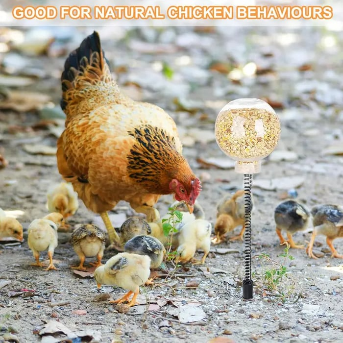🔥LAST DAY 49% OFF 🐔Ultimate Chicken Peck Toy (2PCS)