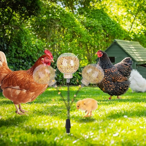 🔥LAST DAY 49% OFF 🐔Ultimate Chicken Peck Toy (2PCS)