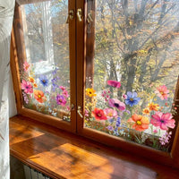 Colorful Flowers